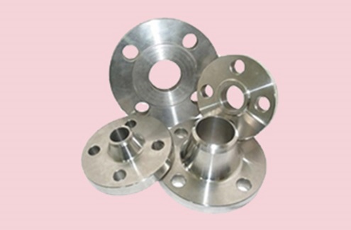 Stainless Steel Flanges