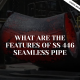 What are the features of SS 446 seamless pipe